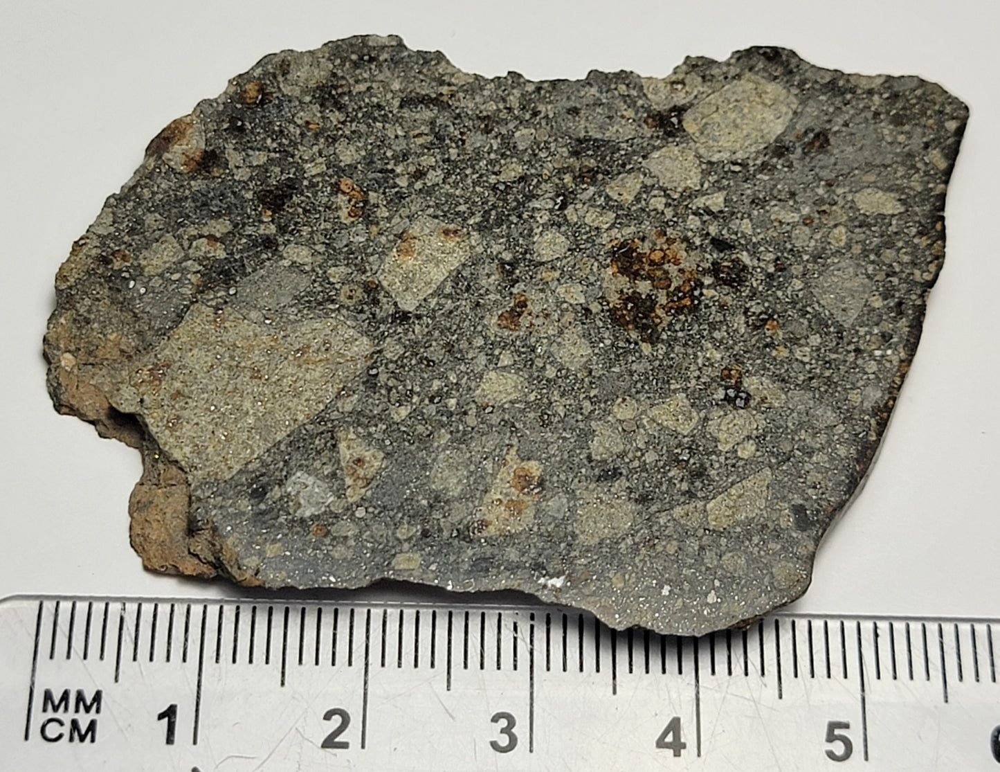 NWA 15376 Meteorite Sliced Fragment Ordinary Chondrite LL3-6 - 25.9g