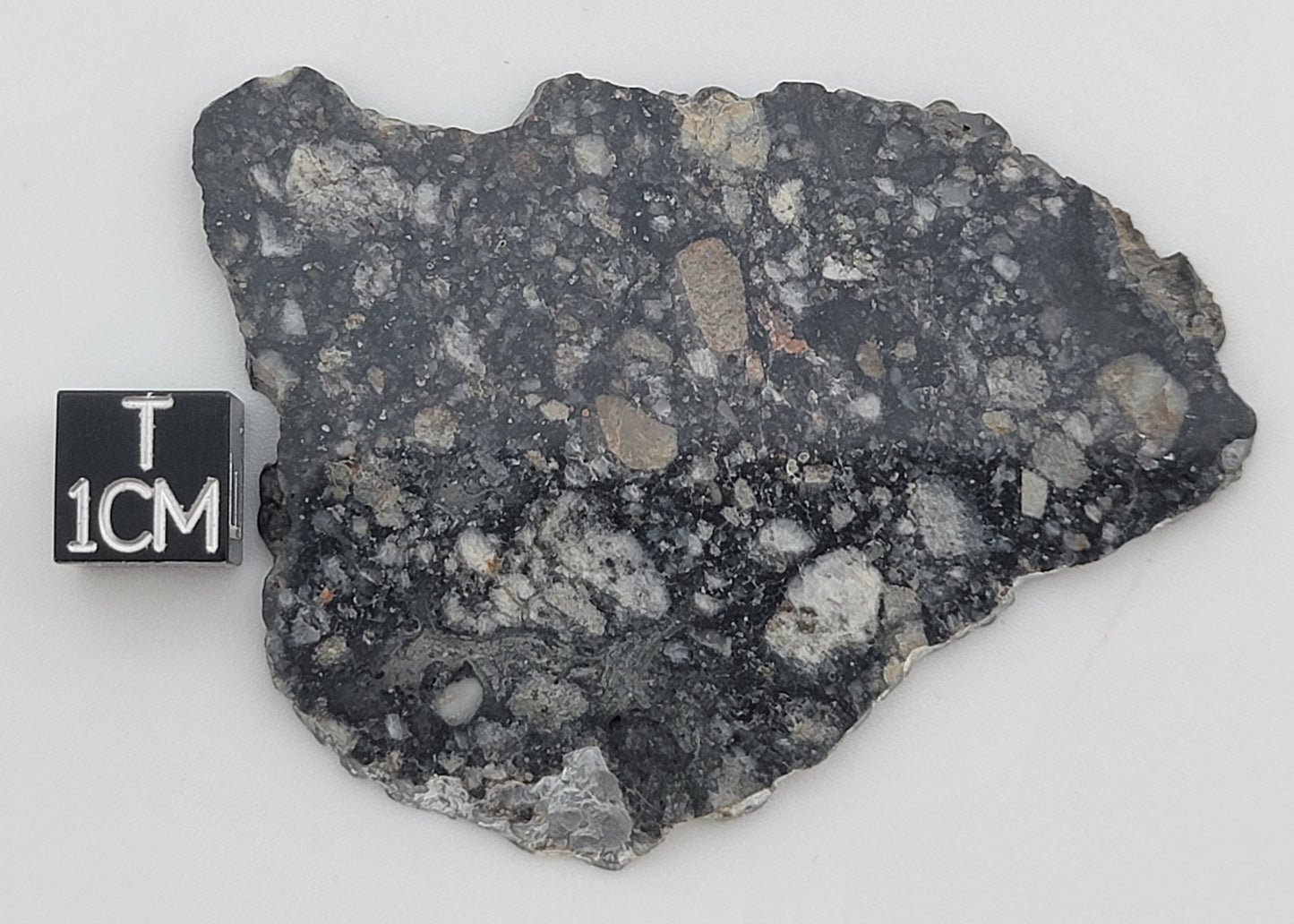 NWA 14685 Lunar Fragmental Breccia Meteorite Slice - 14.1g