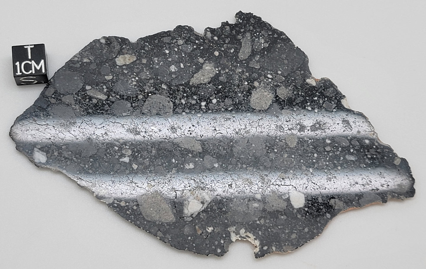 NWA 13951 "Starry Night" Polished Lunar Slice Feldspathic Breccia 36.6g