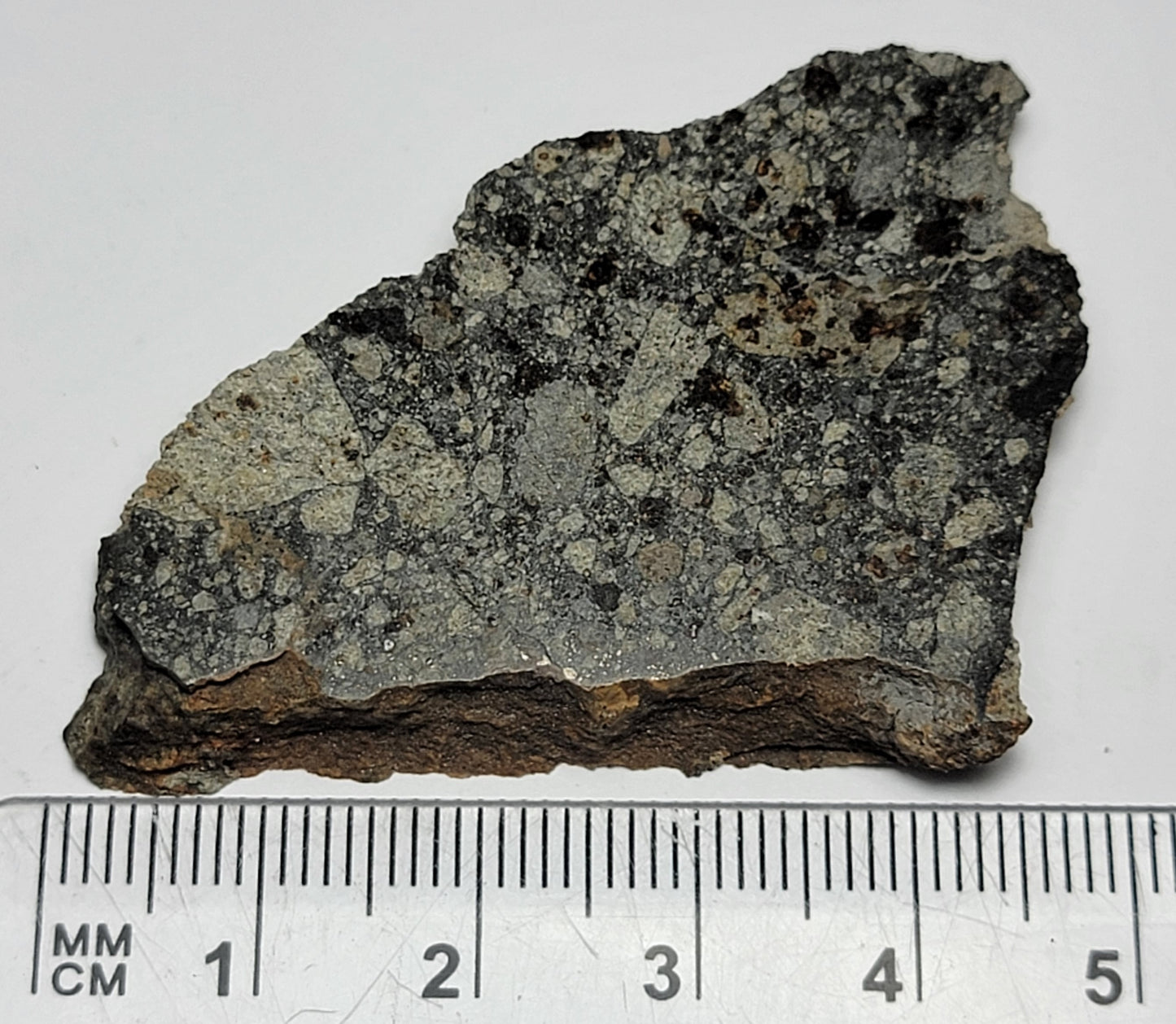 NWA 15376 Meteorite Sliced Fragment Ordinary Chondrite LL3-6 - 18.5g