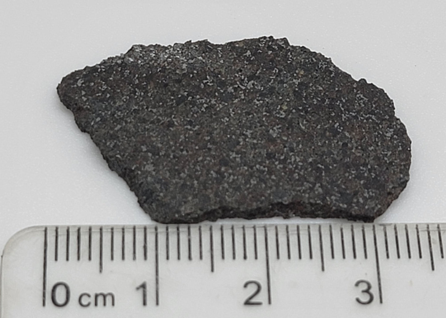 Chajari Meteorite Slice Ordinary Chondrite - 3.75g Witnessed Fall 1933