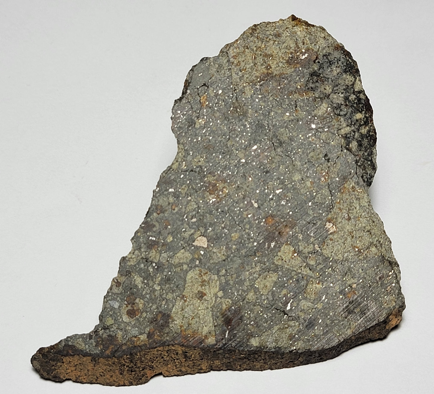 NWA 15376 Meteorite Sliced Fragment Ordinary Chondrite LL3-6 - 24.43g