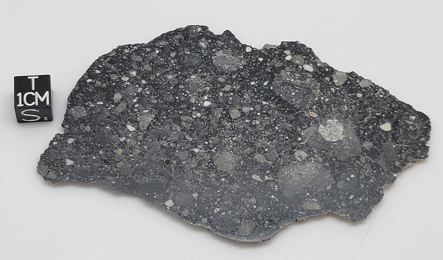 NWA 13951 "Starry Night" Polished Lunar Slice Feldspathic Breccia 31.1g