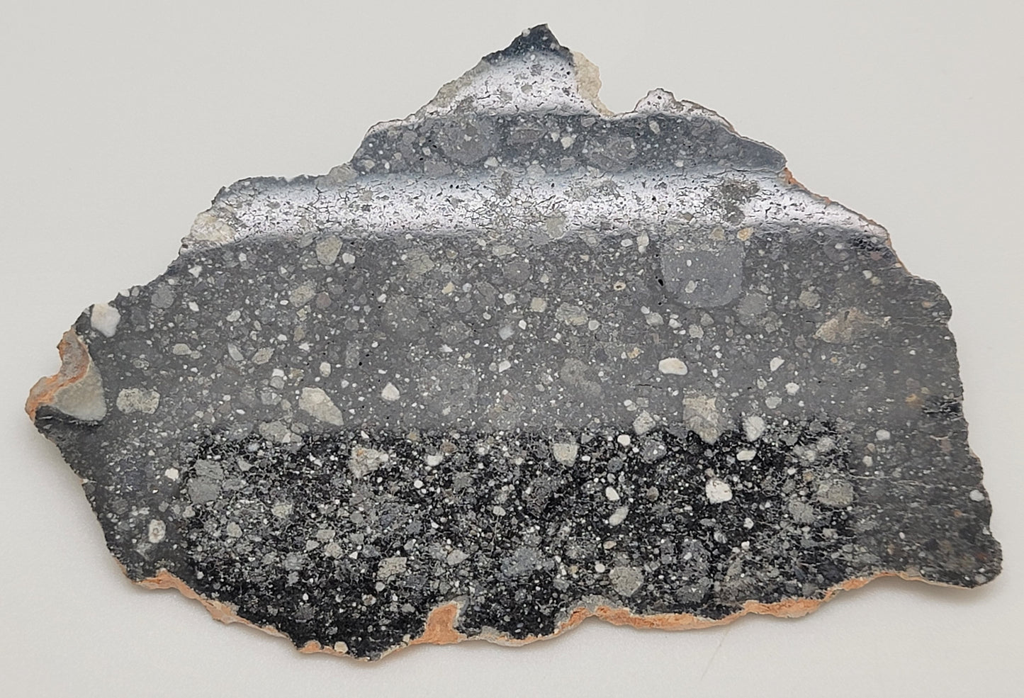 NWA 13951 "Starry Night" Polished Lunar Slice Feldspathic Breccia 36.3g