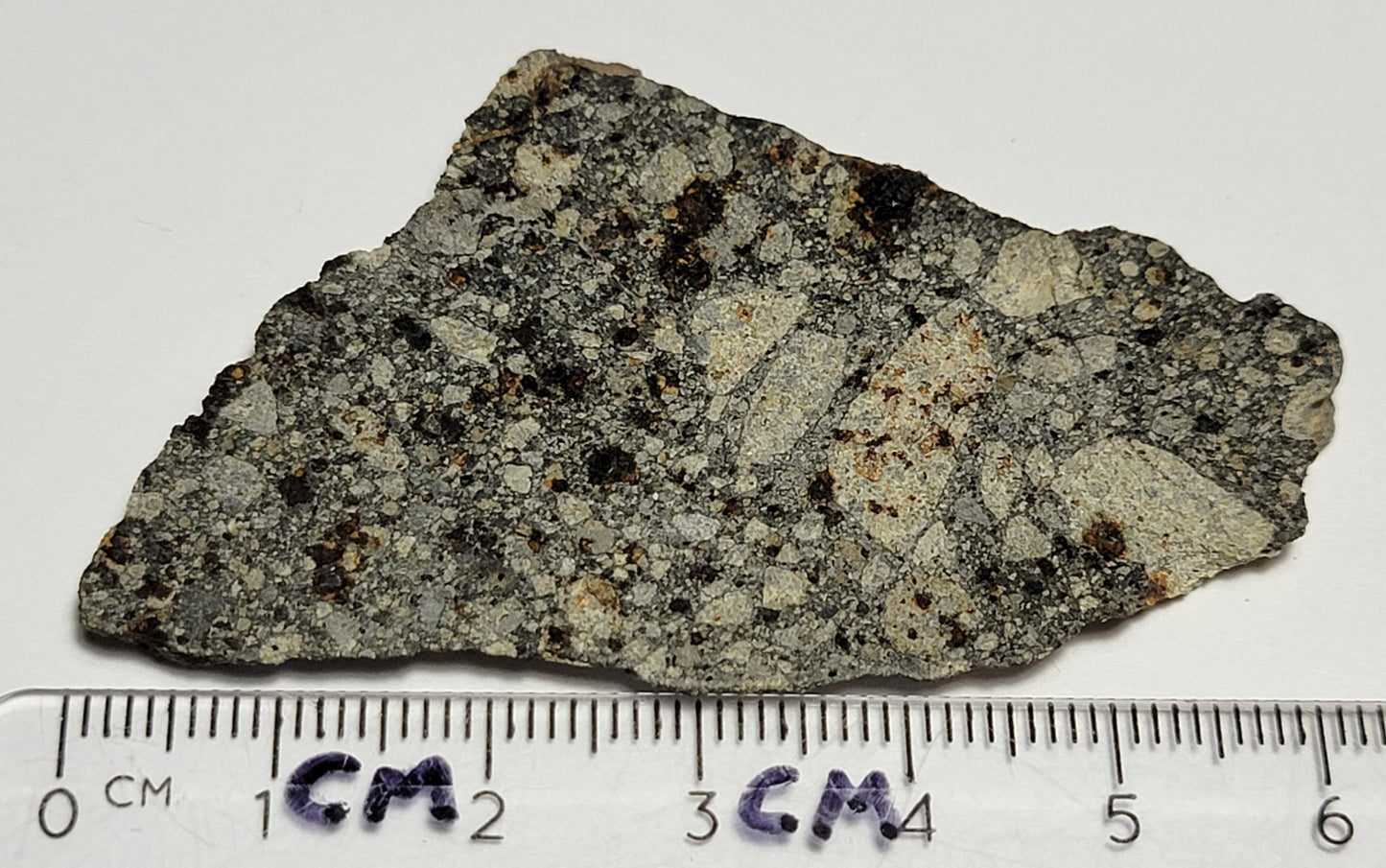 NWA 15376 Meteorite Sliced Fragment Ordinary Chondrite LL3-6 - 14.73g