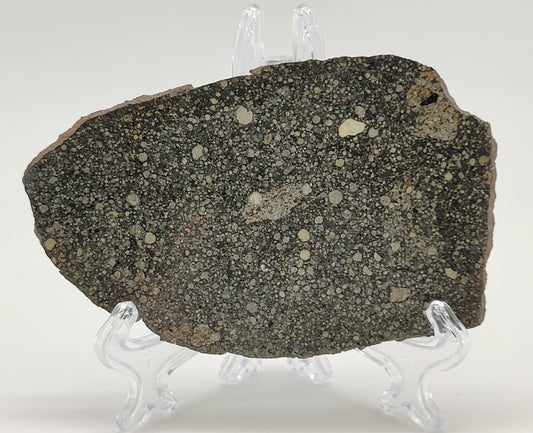 Aba Panu Ordinary Chondrite (L3) 61.9g Polished Meteorite Slice