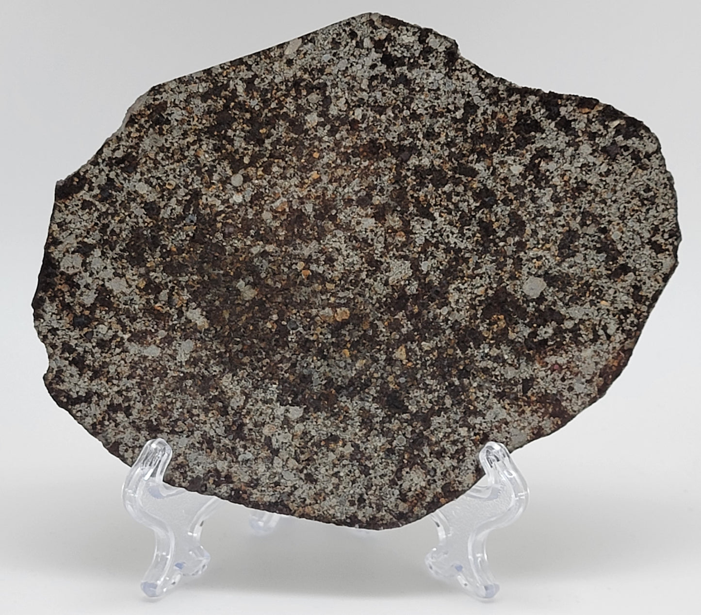 Unclassified NWA Ordinary Chondrite 109g Polished Meteorite Slice