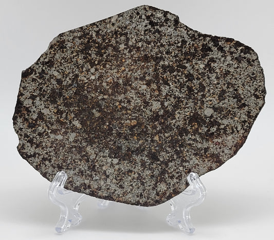 Unclassified NWA Ordinary Chondrite 109g Polished Meteorite Slice