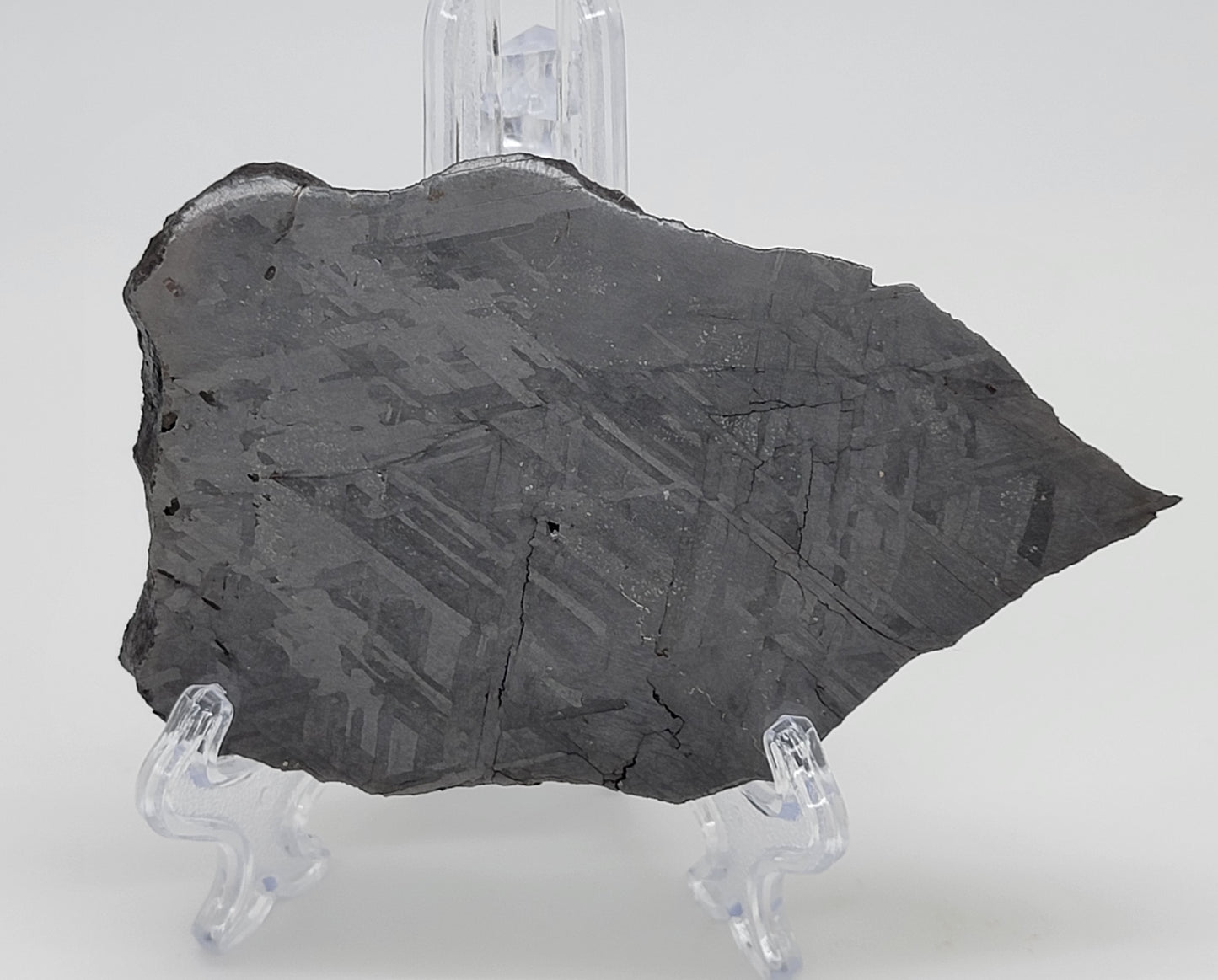 NWA 13006 Polished, Etched Slice 230.5g Iron (IIIAB) Meteorite