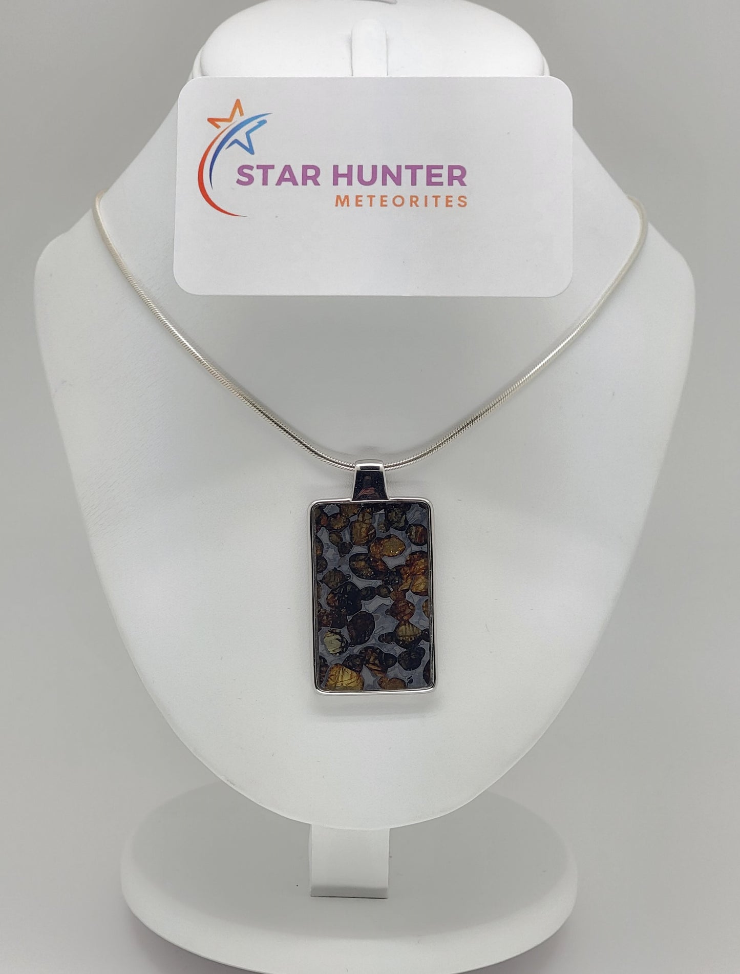 Sericho Pallasite Meteorite Sterling Silver Necklace - 16.58g