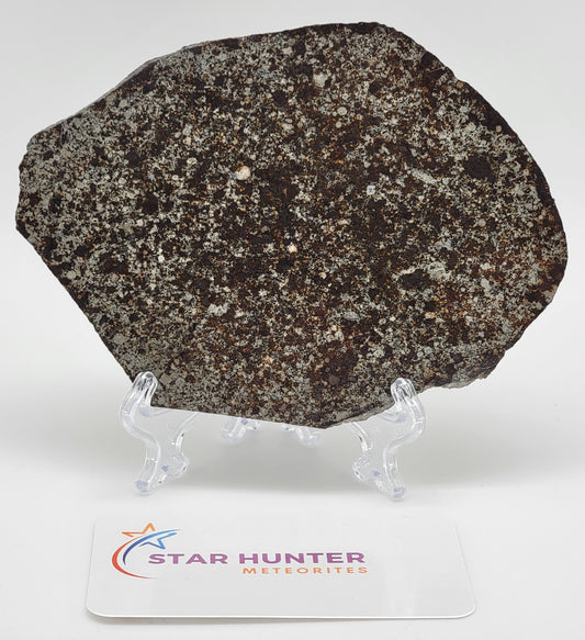 Unclassified NWA Ordinary Chondrite 131.1g Polished Meteorite Slice
