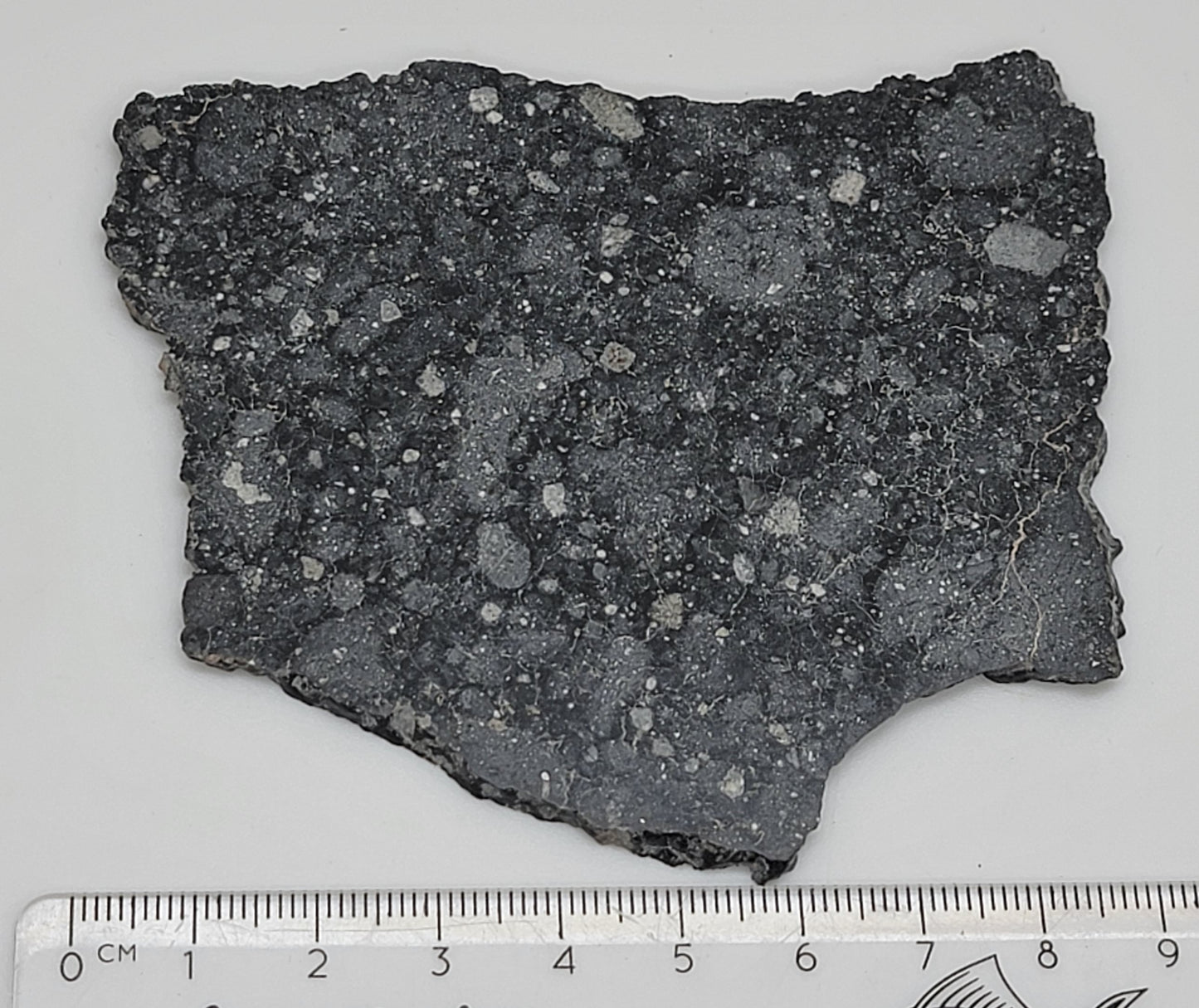 NWA 13951 "Starry Night" Polished Lunar Slice Feldspathic Breccia 36.5g