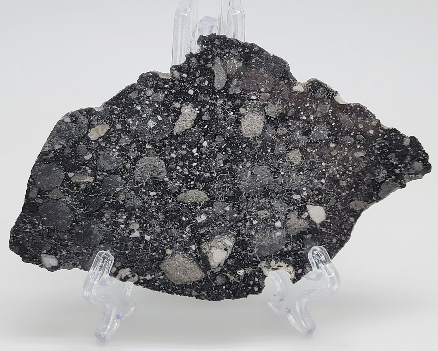 NWA 13951 "Starry Night" Polished Lunar Slice Feldspathic Breccia 36.6g