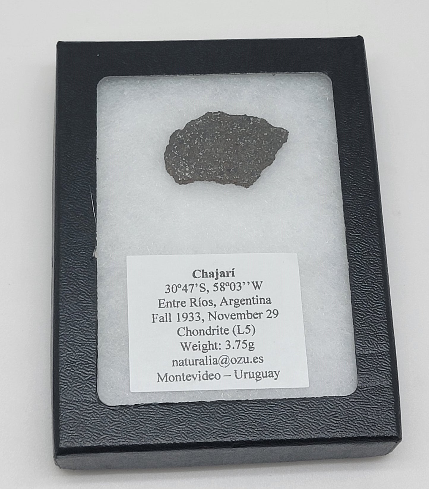 Chajari Meteorite Slice Ordinary Chondrite - 3.75g Witnessed Fall 1933