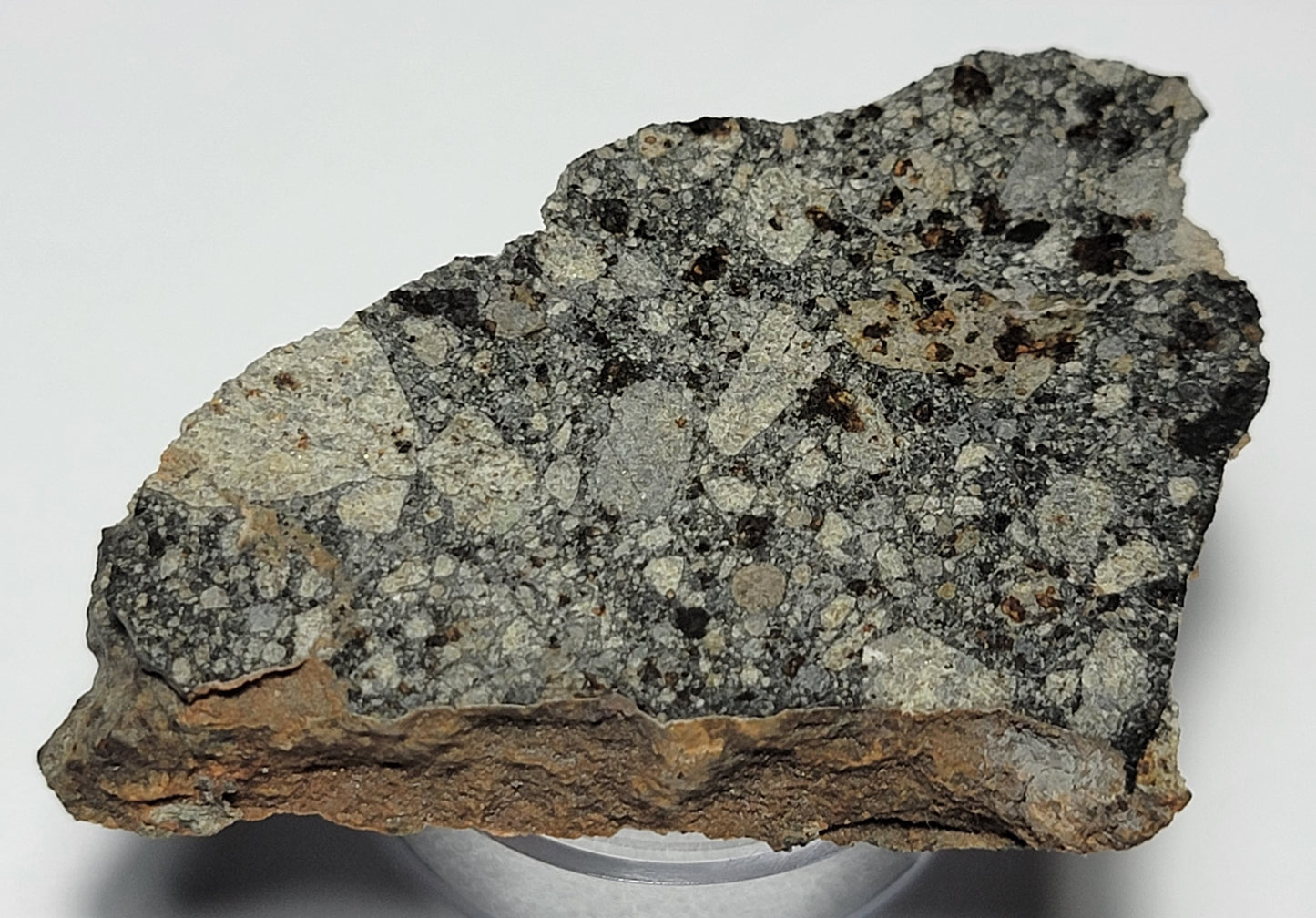 NWA 15376 Meteorite Sliced Fragment Ordinary Chondrite LL3-6 - 18.5g