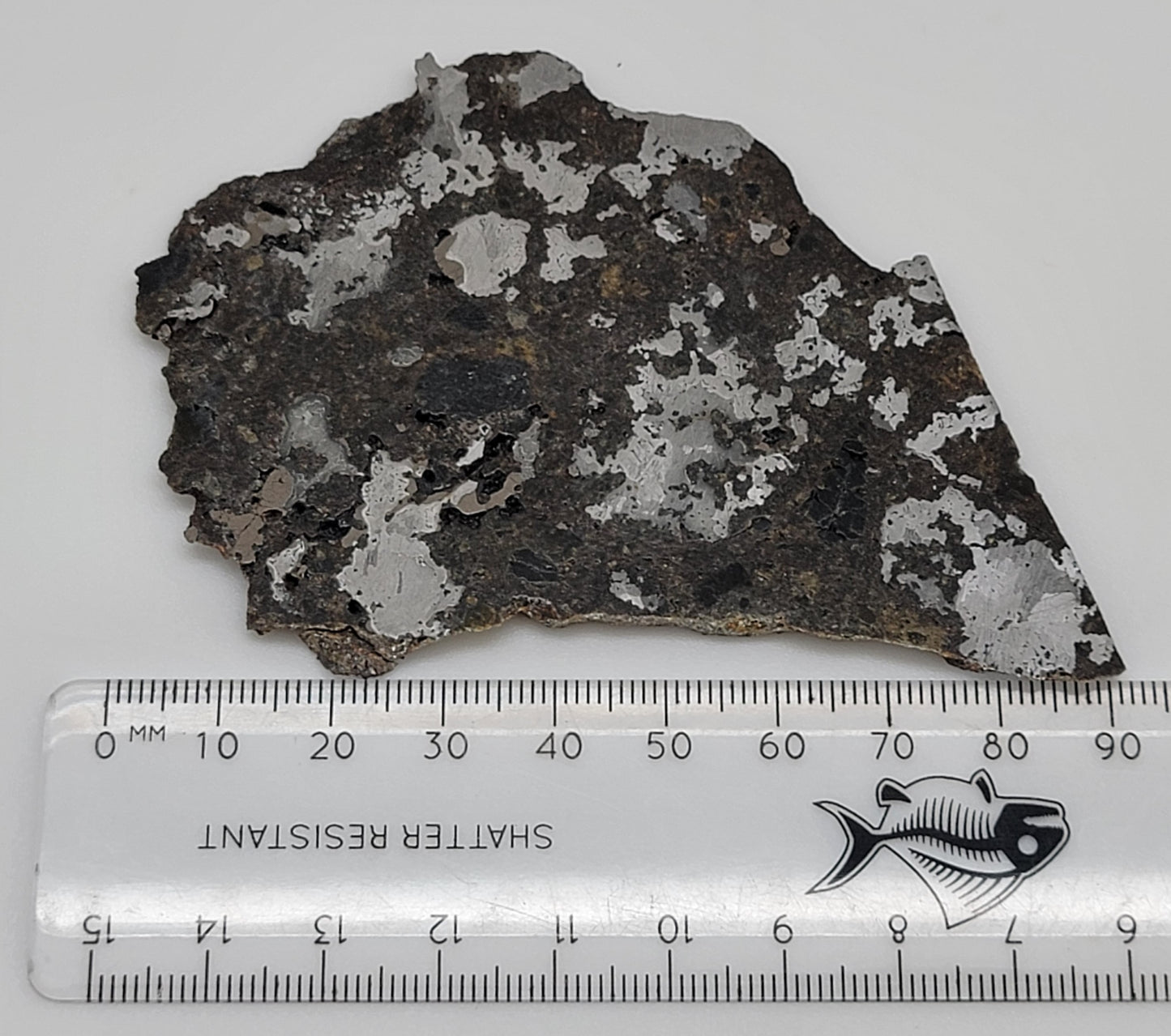 Estherville Mesosiderite Meteorite Slice - 53g