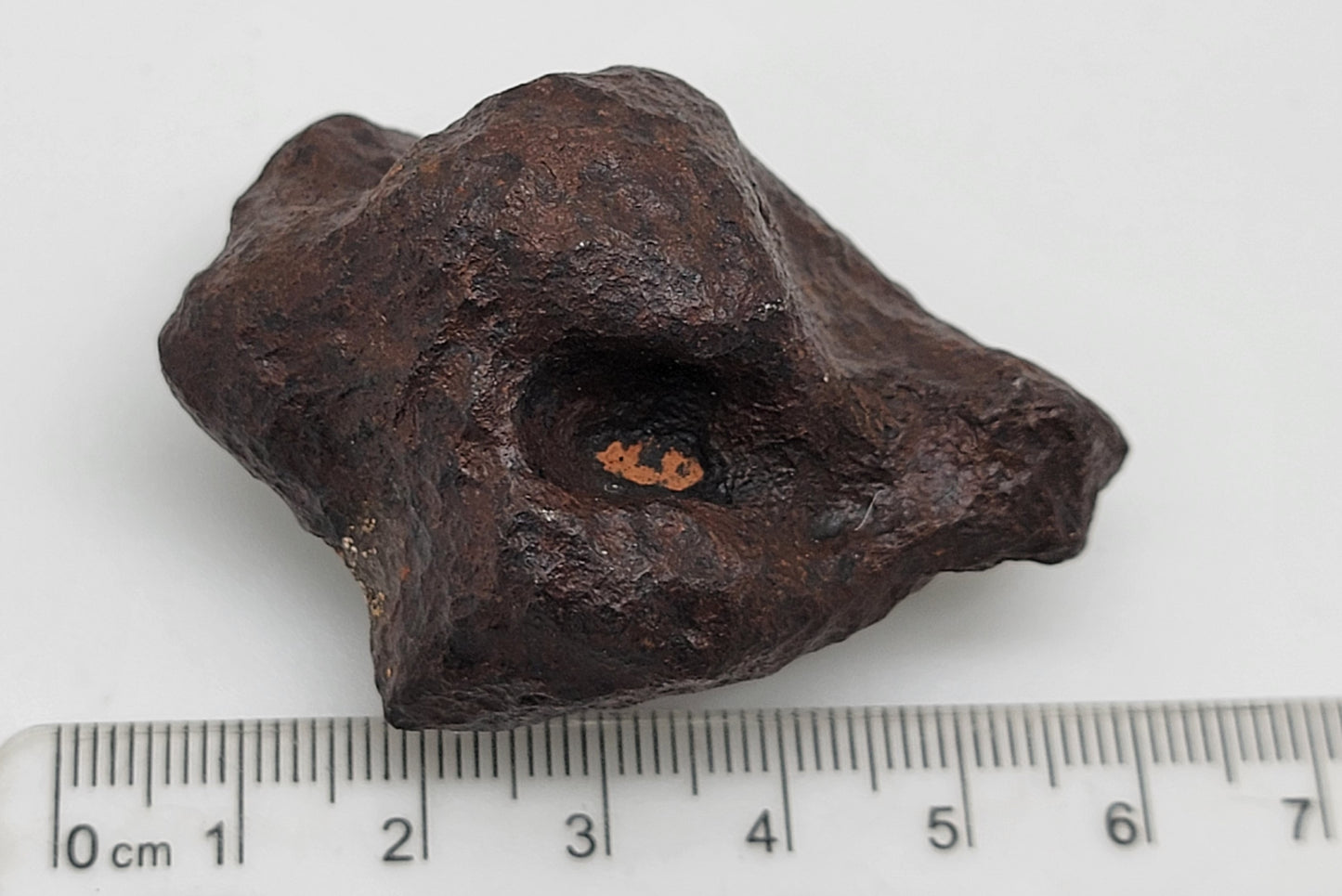 Mundrabilla Iron Meteorite from "Meteorite Men" - 152.1g