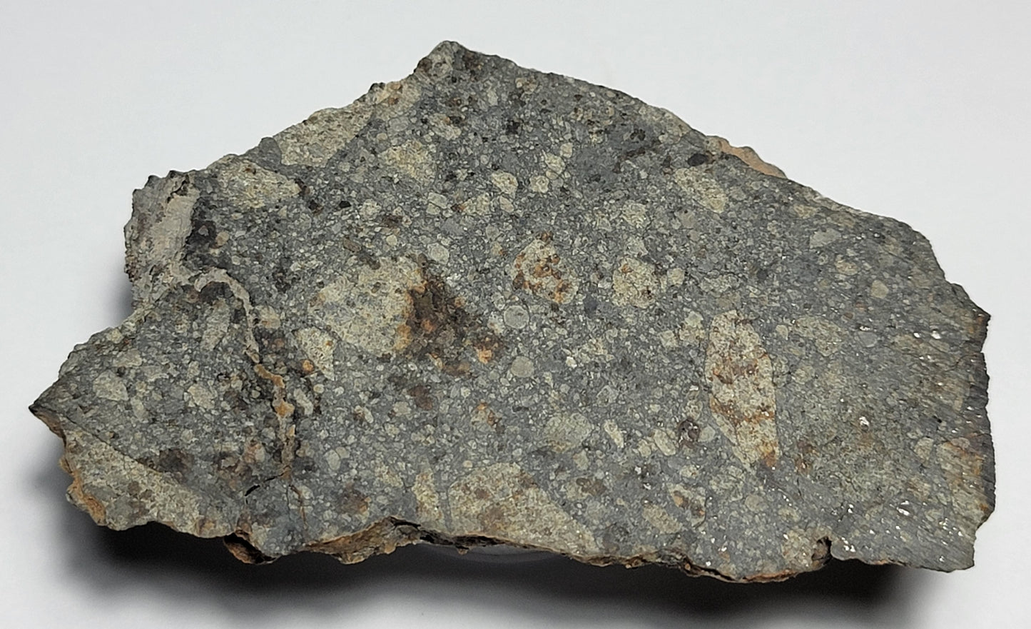 NWA 15376 Meteorite Sliced Fragment Ordinary Chondrite LL3-6 - 24.29g