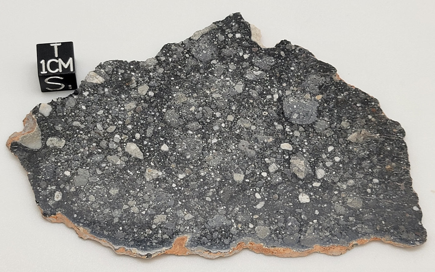 NWA 13951 "Starry Night" Polished Lunar Slice Feldspathic Breccia 36.3g