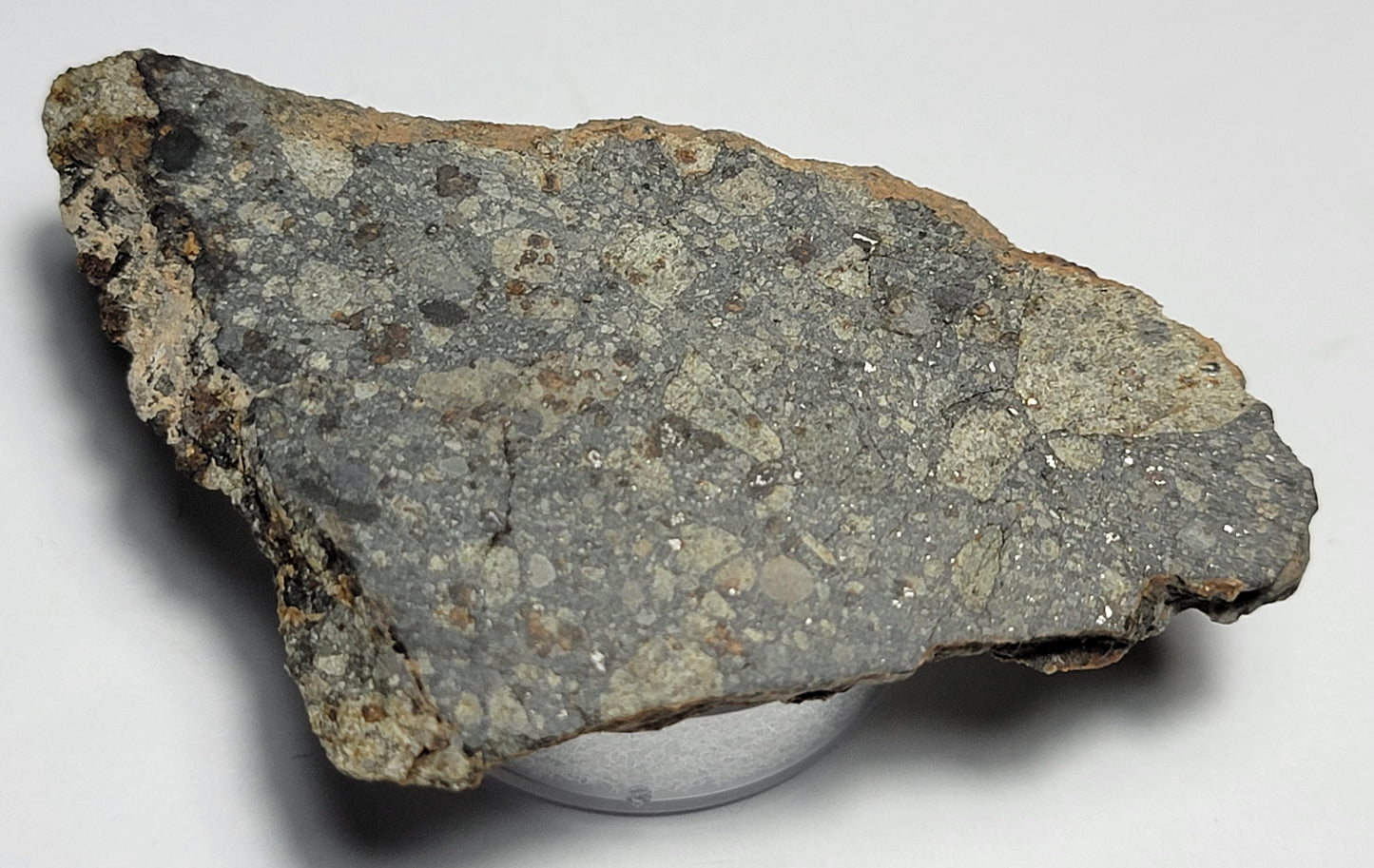 NWA 15376 Meteorite Sliced Fragment Ordinary Chondrite LL3-6 - 14.73g