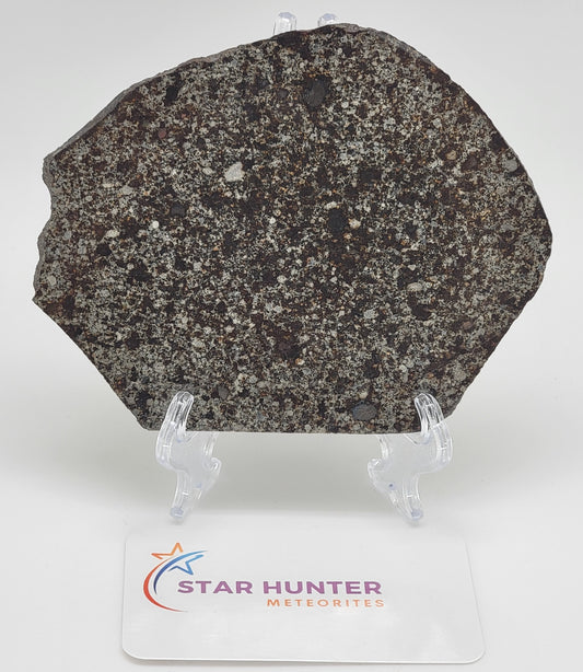 Unclassified NWA Ordinary Chondrite 127.11g Polished Meteorite Slice