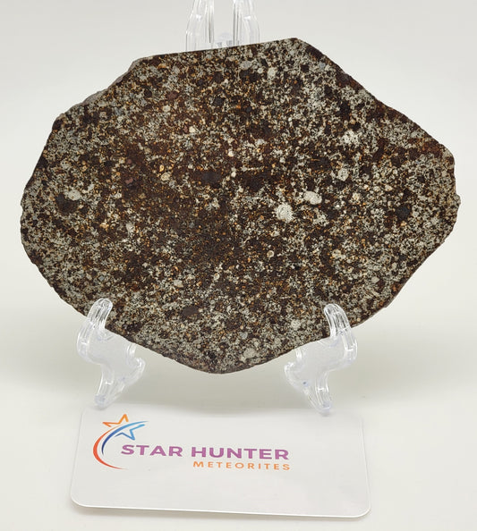 Unclassified NWA Ordinary Chondrite 117.5g Polished Meteorite Slice