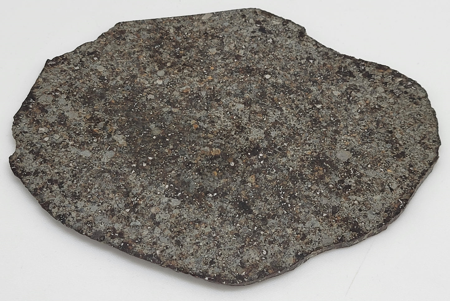 Unclassified NWA Ordinary Chondrite 109g Polished Meteorite Slice