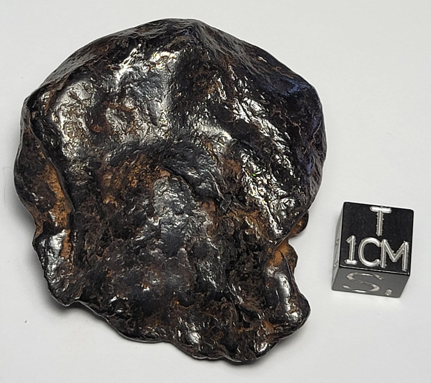 Canyon Diablo Iron Meteorite Lightly Cleaned Individual 109g