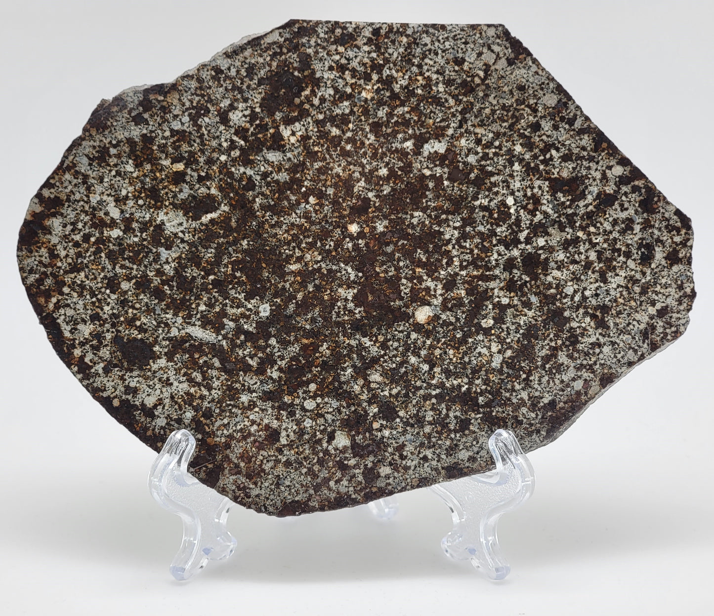 Unclassified NWA Ordinary Chondrite 131.1g Polished Meteorite Slice