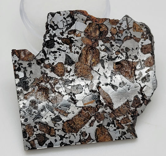 Hassi el Biod 002 Polished Slice 20 grams RARE Ungrouped Pallasite Meteorite