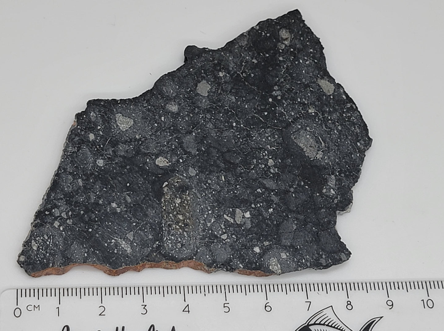 NWA 13951 "Starry Night" Polished Lunar Slice Feldspathic Breccia 33.5g