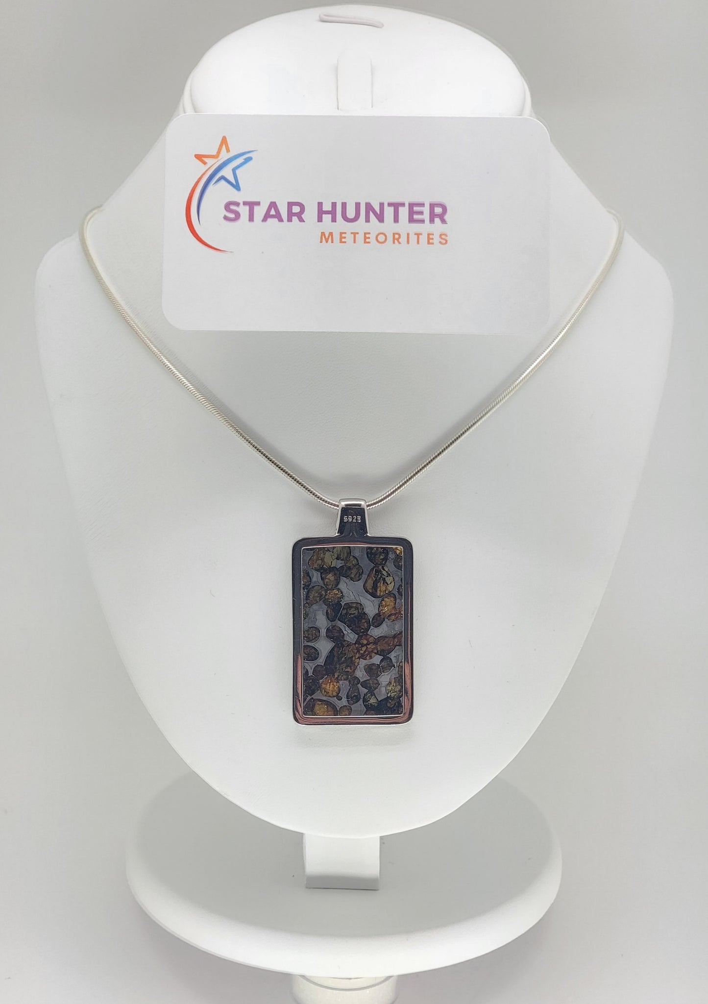 Sericho Pallasite Meteorite Sterling Silver Necklace - 16.5g