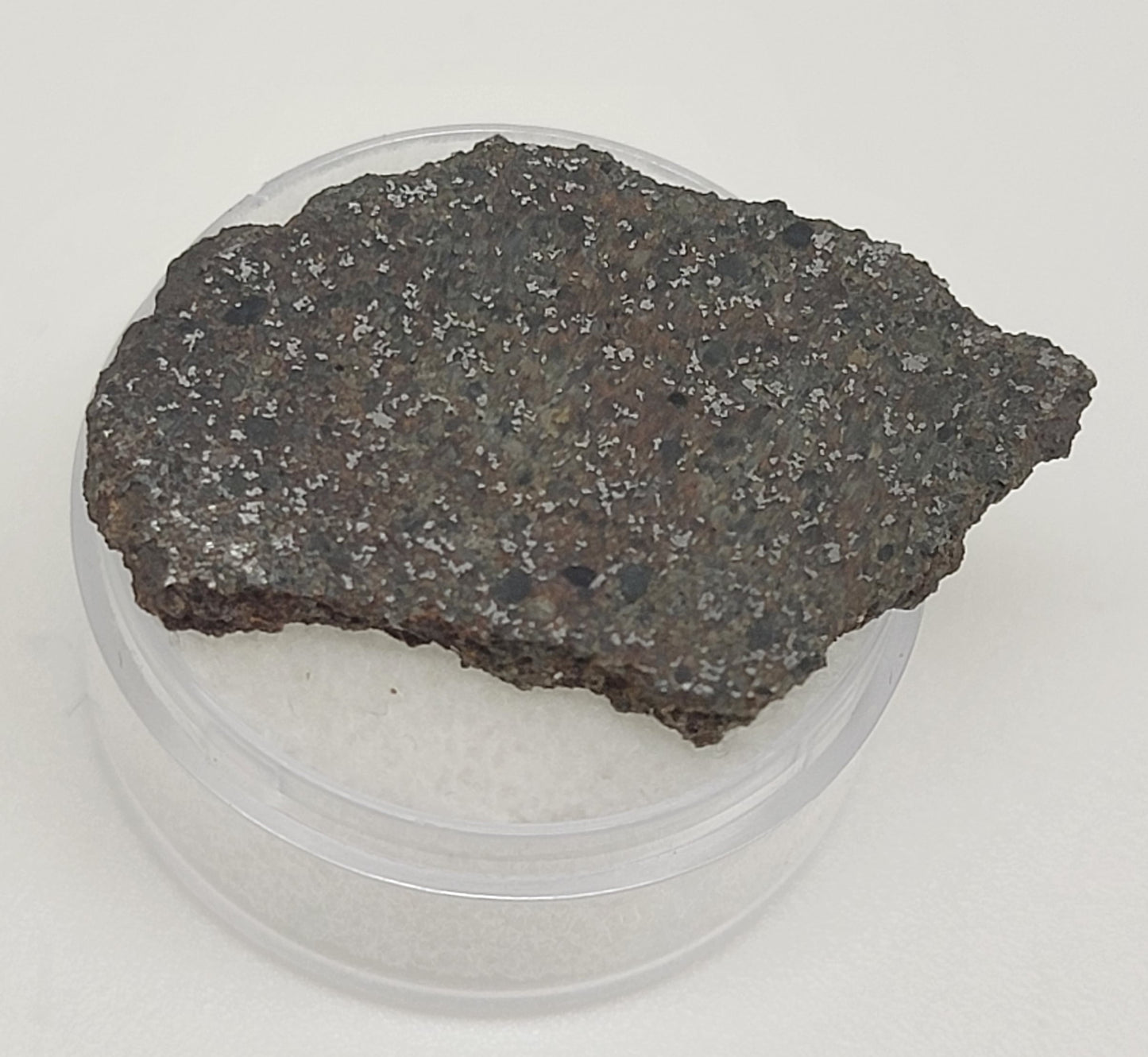 Chajari Meteorite Slice Ordinary Chondrite - 3.75g Witnessed Fall 1933