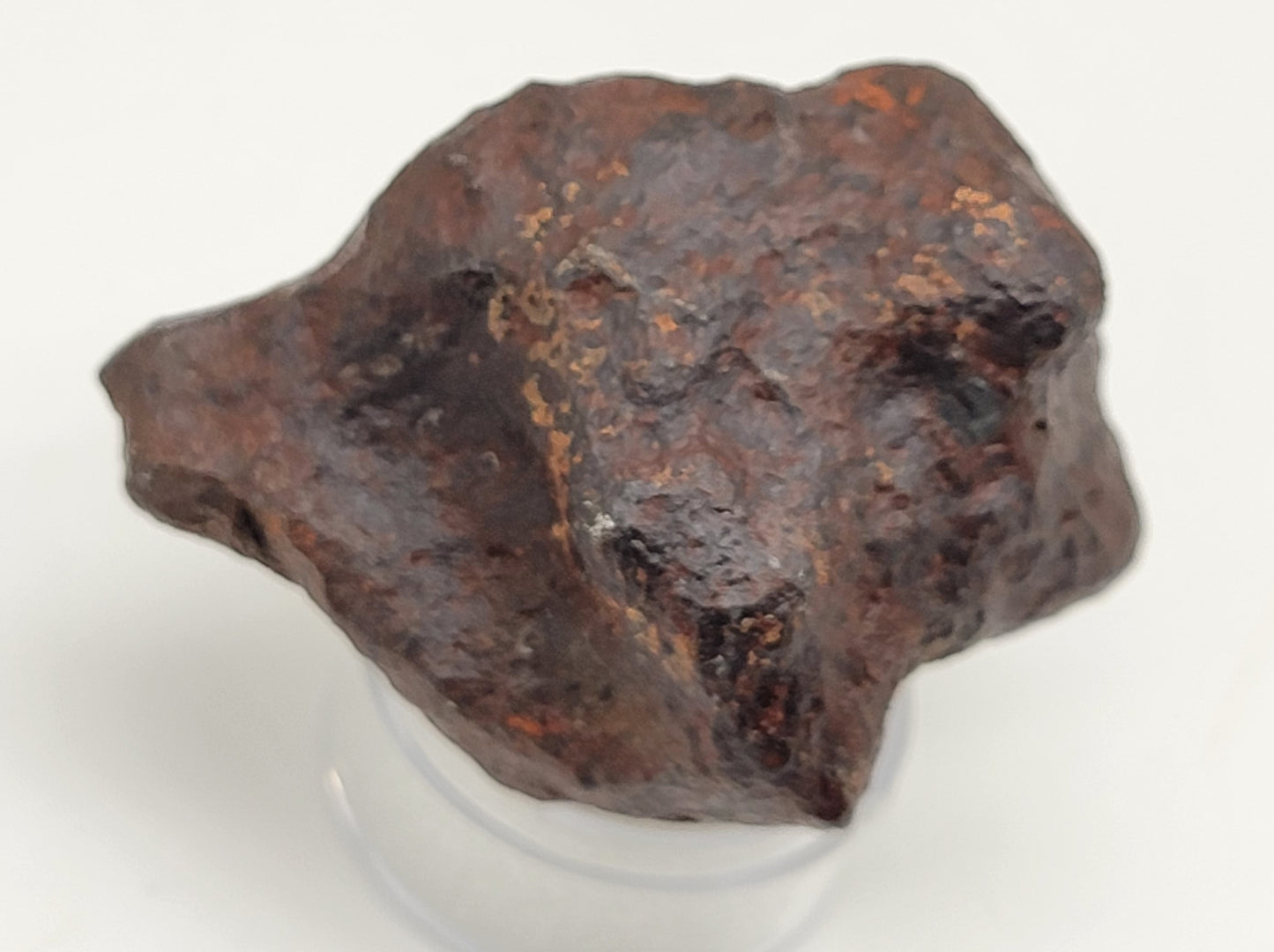 Mundrabilla Iron Meteorite from "Meteorite Men" - 152.1g