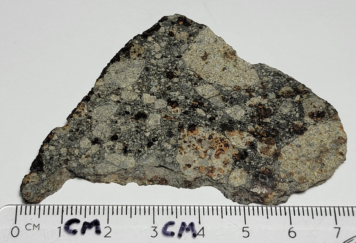 NWA 15376 Meteorite Sliced Fragment Ordinary Chondrite LL3-6 - 24.43g