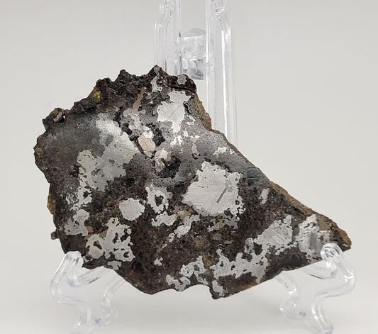 Estherville Mesosiderite Meteorite Slice - 53g