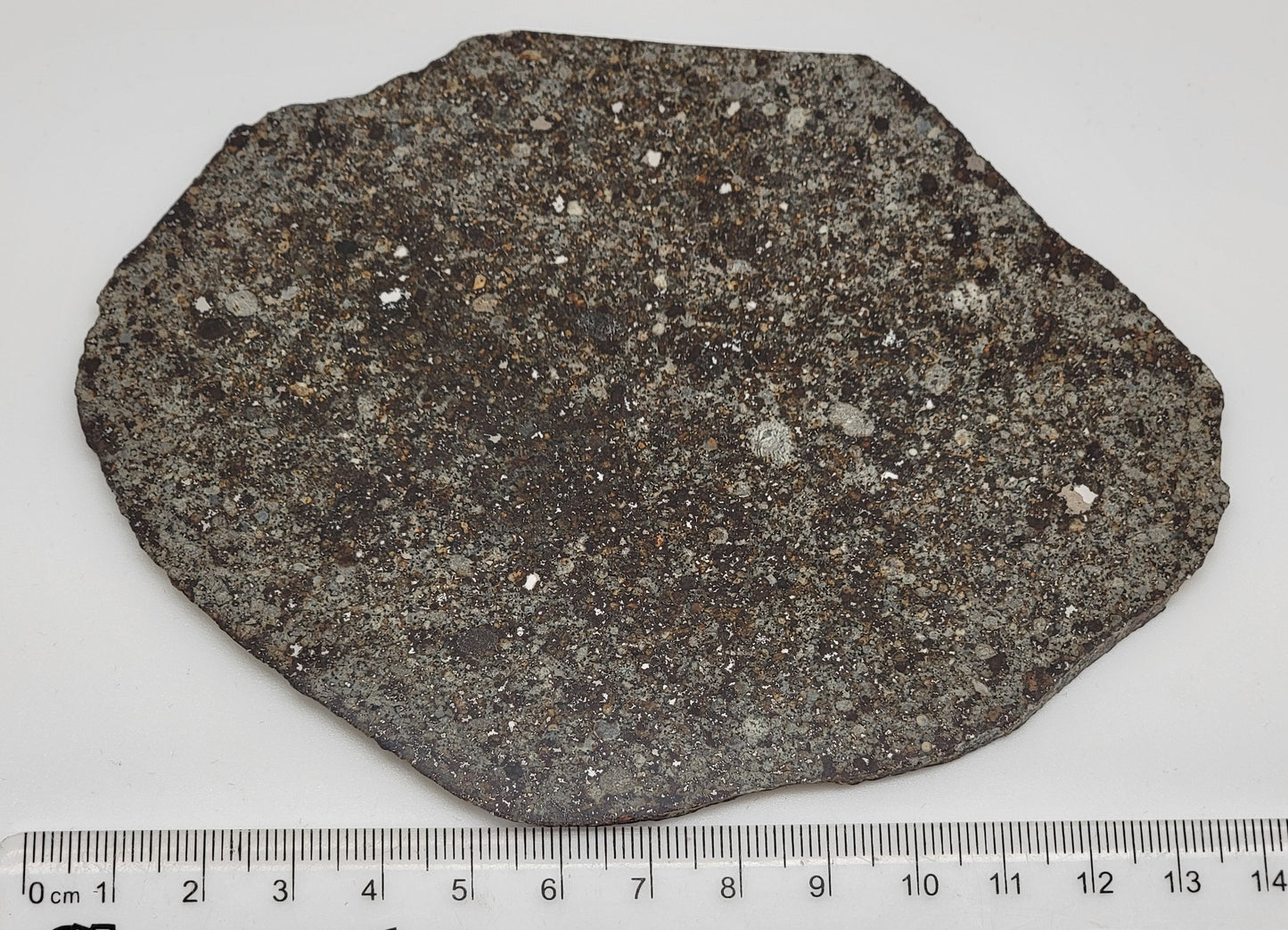 Unclassified NWA Ordinary Chondrite 117.5g Polished Meteorite Slice