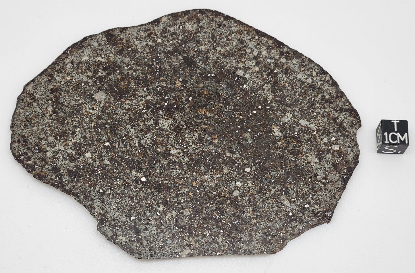 Unclassified NWA Ordinary Chondrite 109g Polished Meteorite Slice