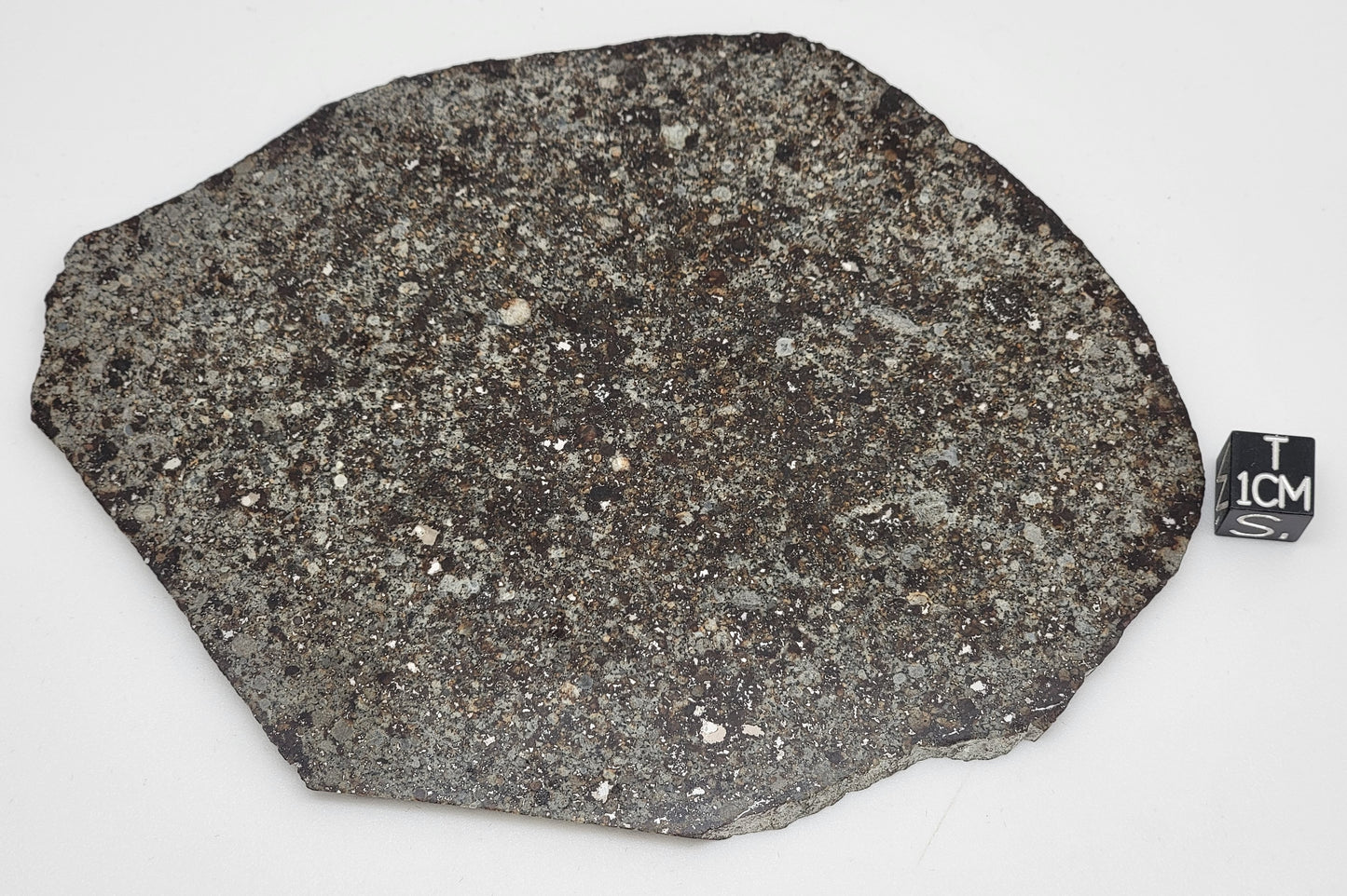 Unclassified NWA Ordinary Chondrite 131.1g Polished Meteorite Slice