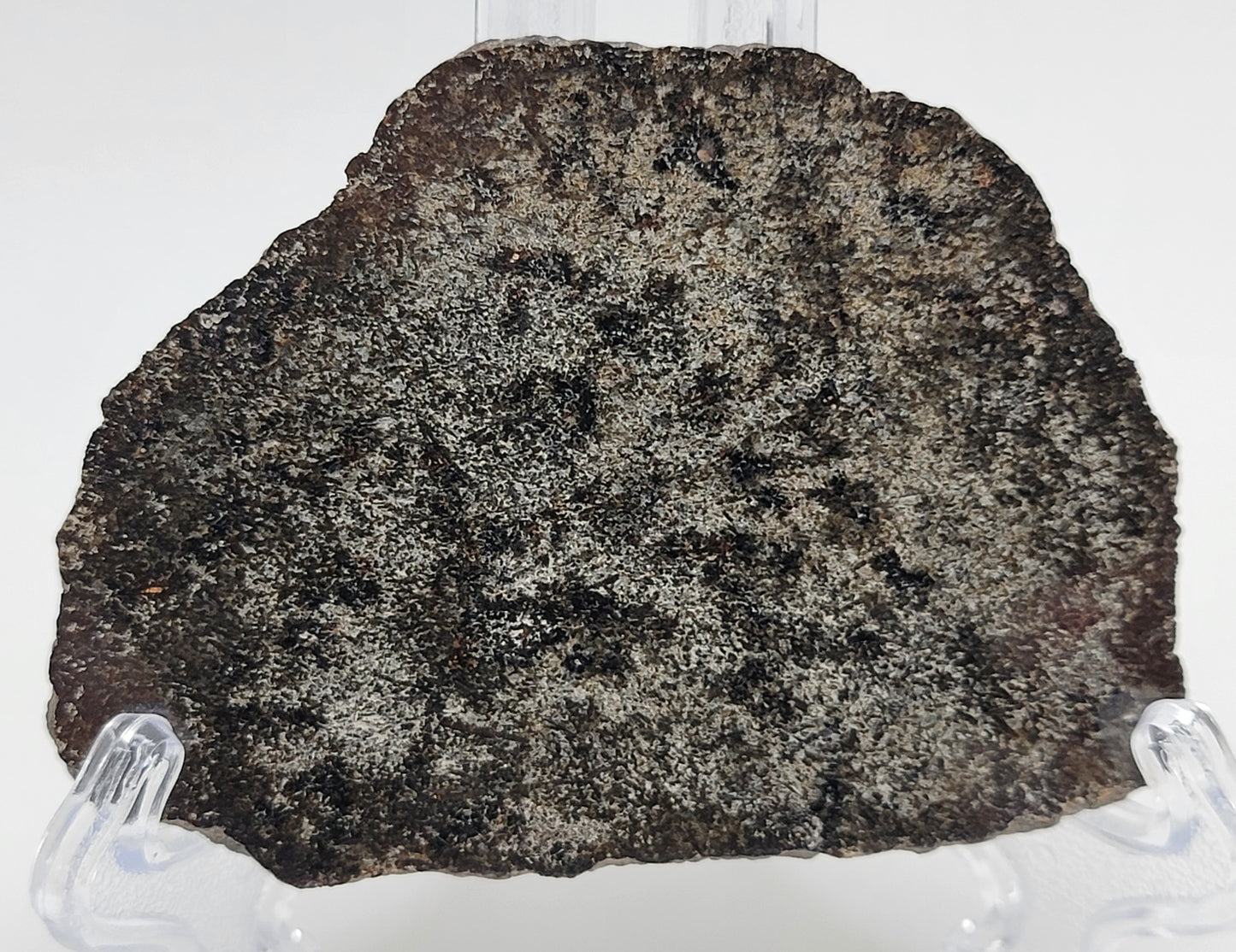 NWA 14714 Shergottite Martian Polished Meteorite Slice - 23.6g