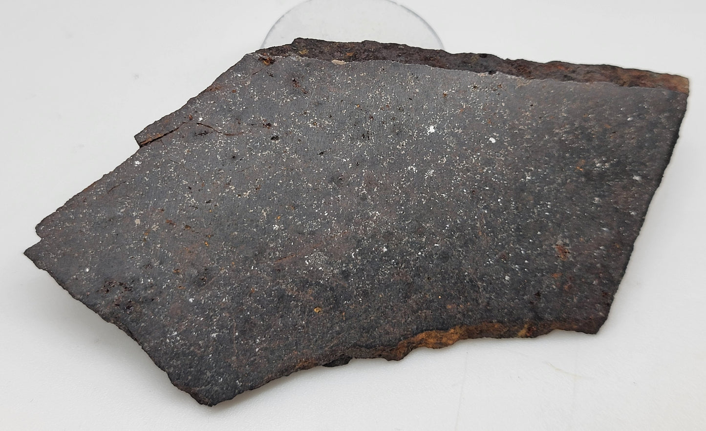 Long Island, Kansas Ordinary Chondrite Meteorite Slice - 38.3g