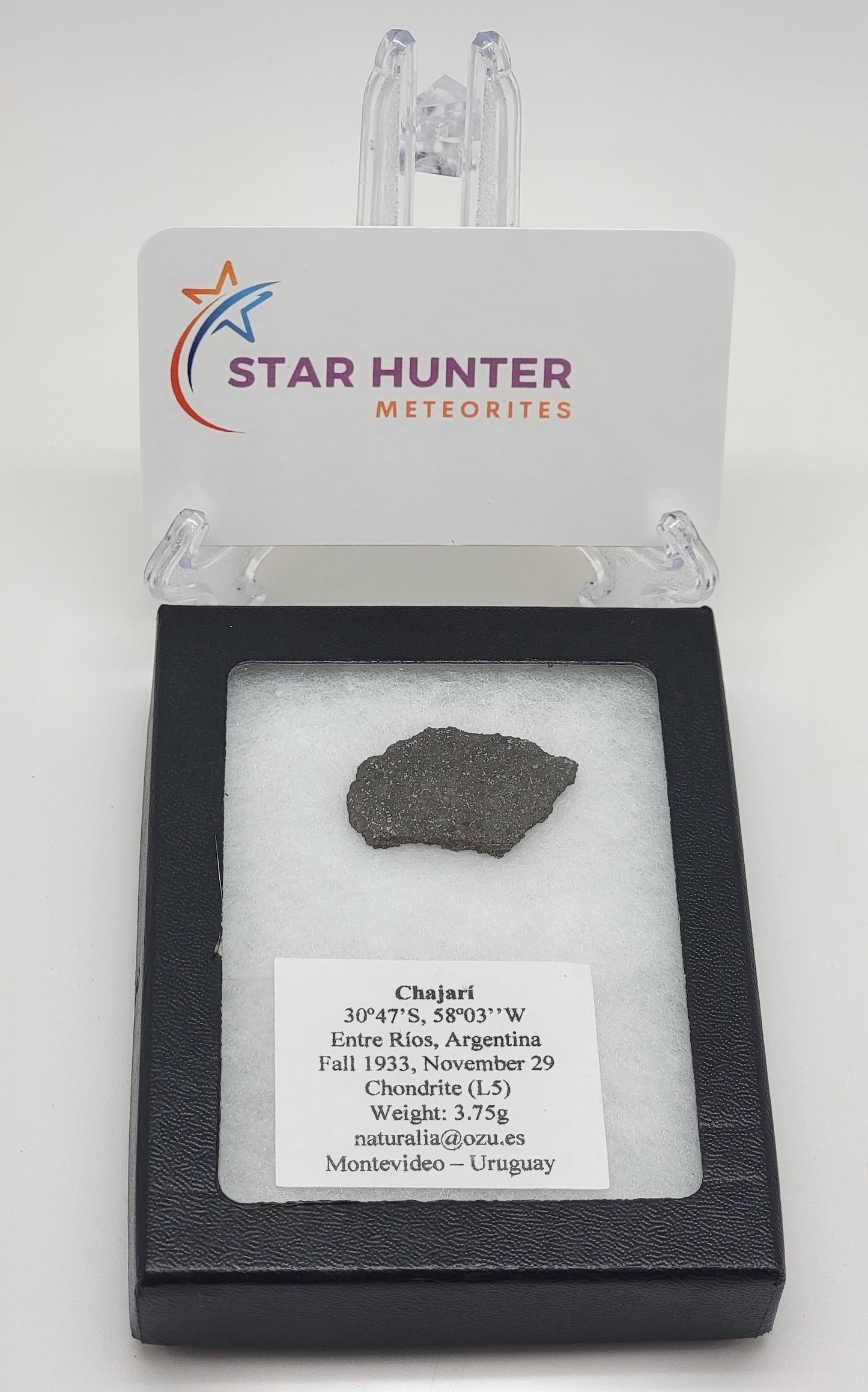 Chajari Meteorite Slice Ordinary Chondrite - 3.75g Witnessed Fall 1933