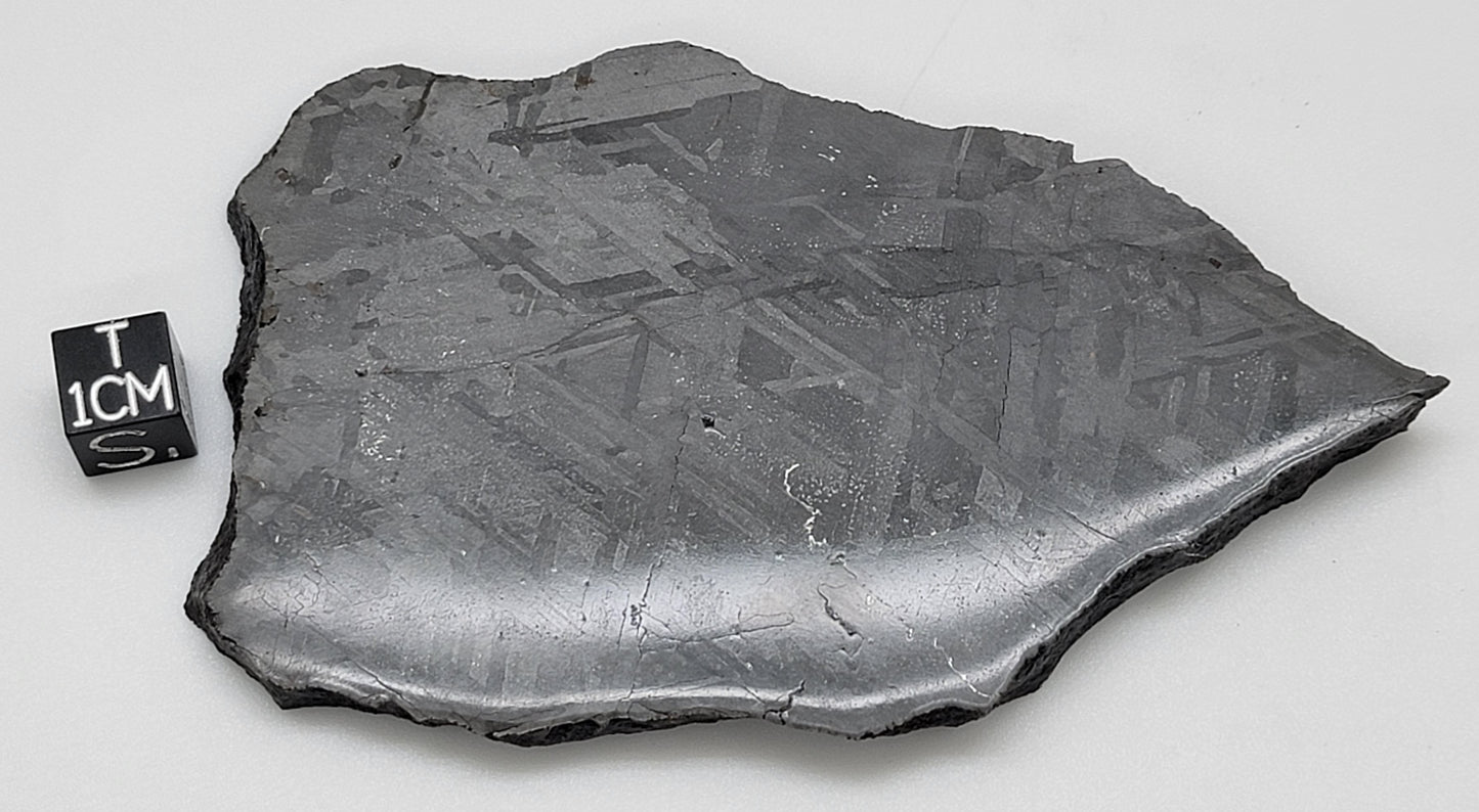 NWA 13006 Polished, Etched Slice 230.5g Iron (IIIAB) Meteorite