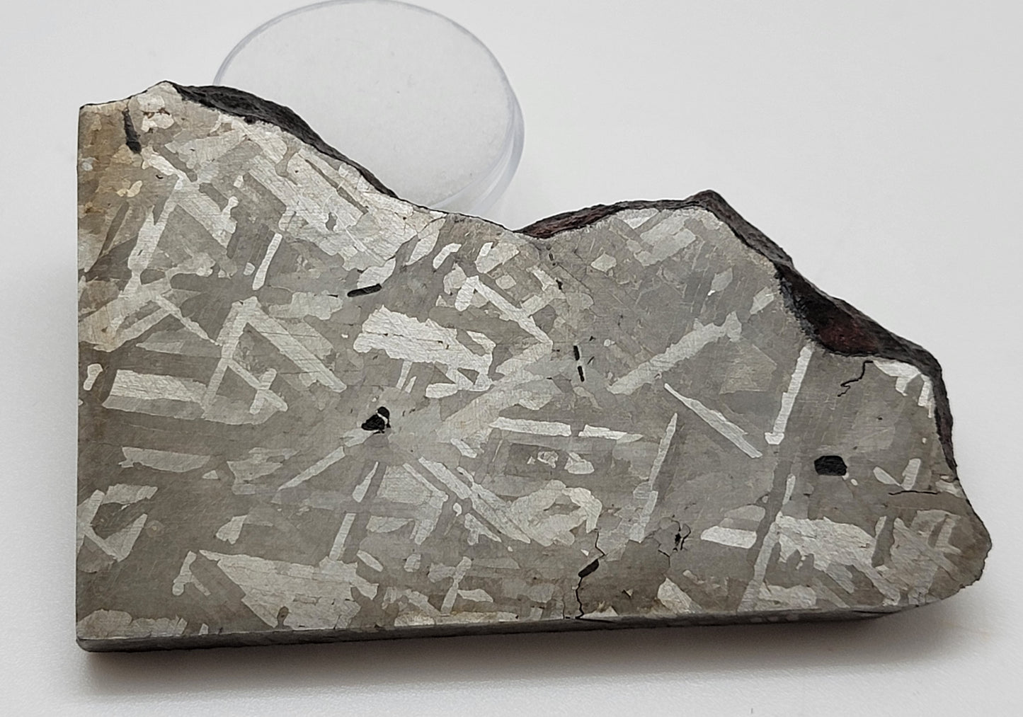 Henbury Iron Meteorite Etched Slice 163.5g