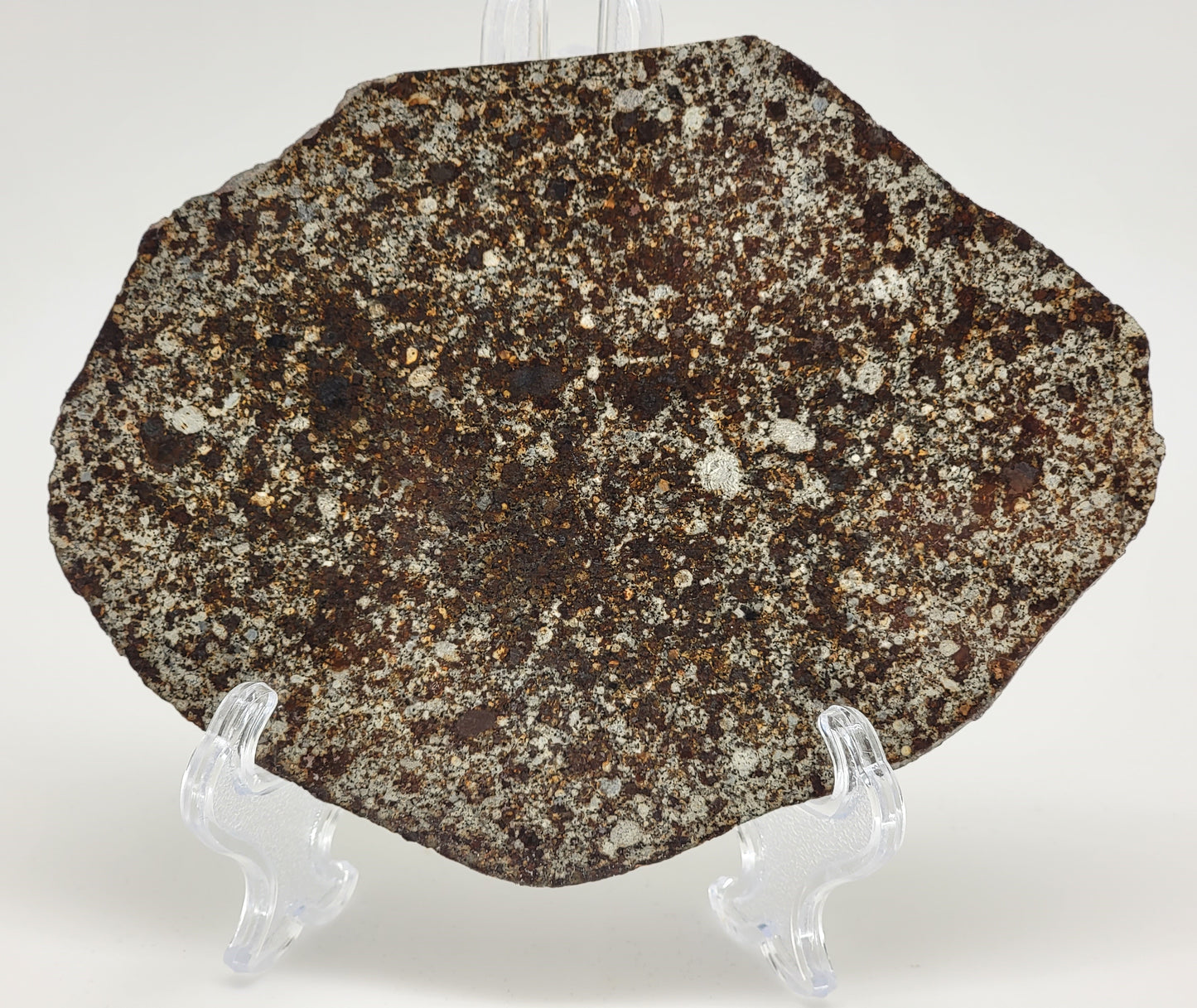 Unclassified NWA Ordinary Chondrite 117.5g Polished Meteorite Slice