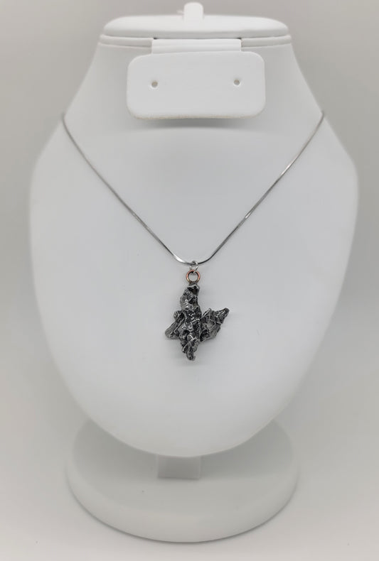 Campo del Cielo Meteorite Necklace 11.18g