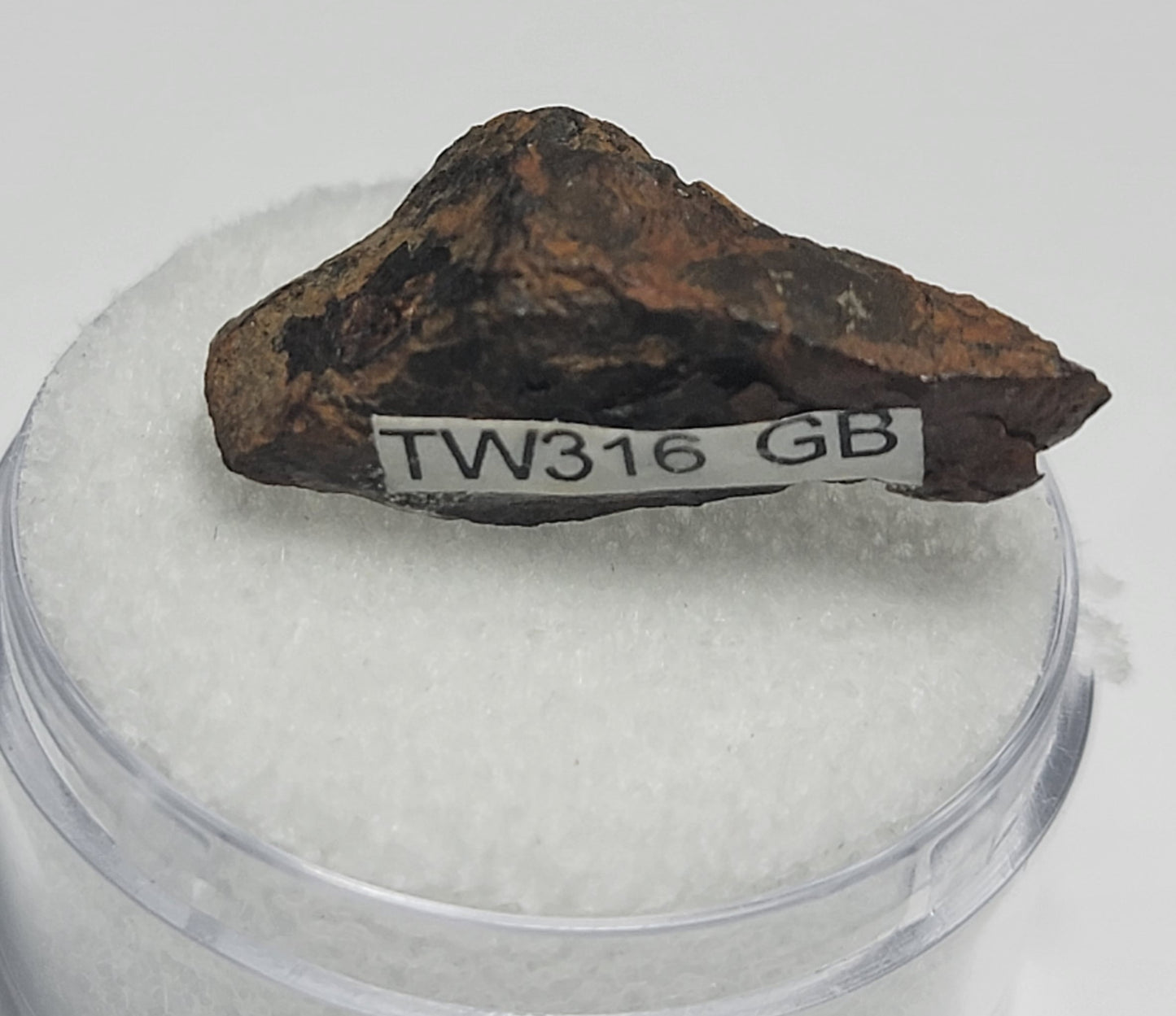 Twannberg IIG Iron Meteorite Bern, Switzerland - Individual - 4.45g