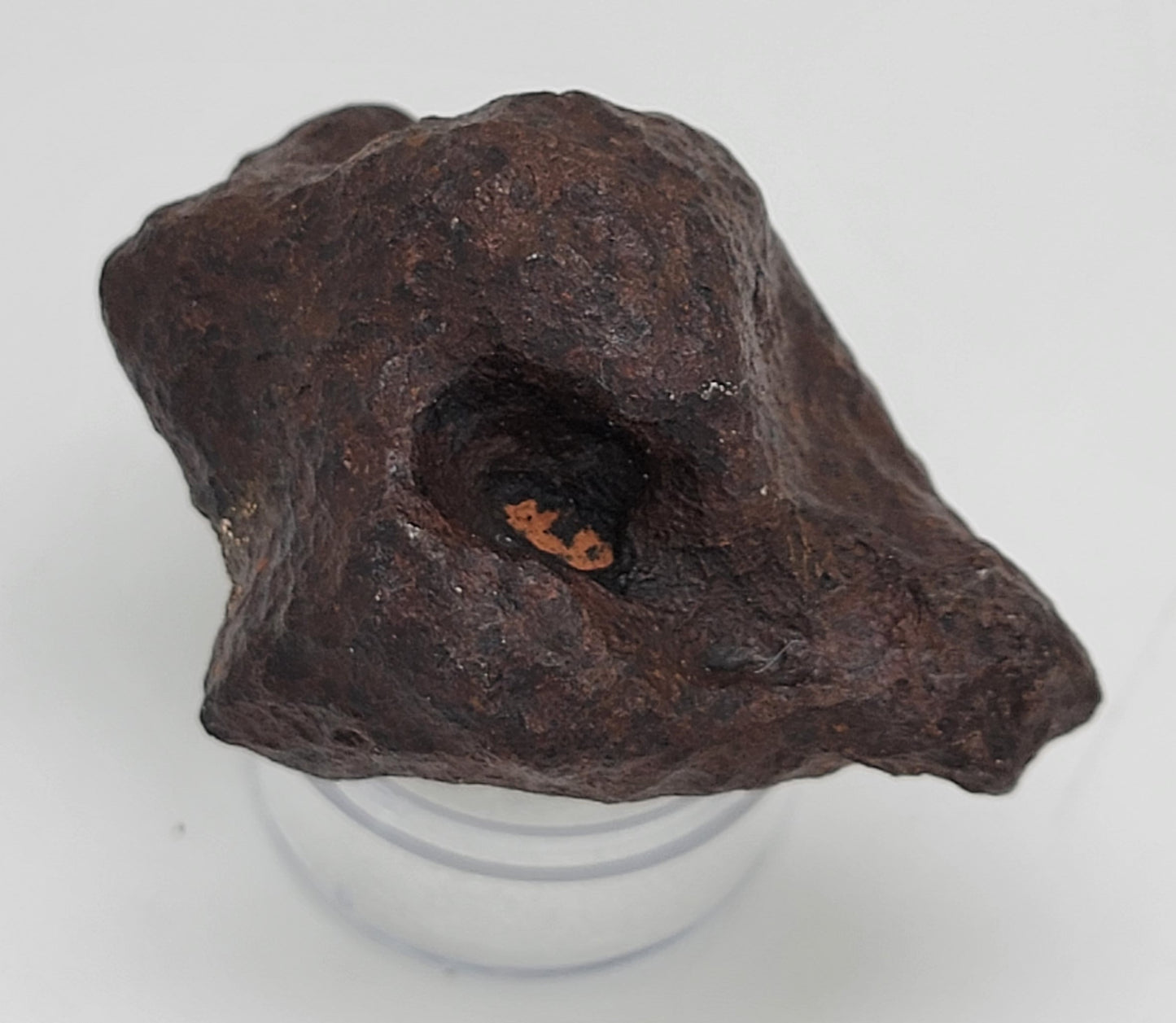 Mundrabilla Iron Meteorite from "Meteorite Men" - 152.1g