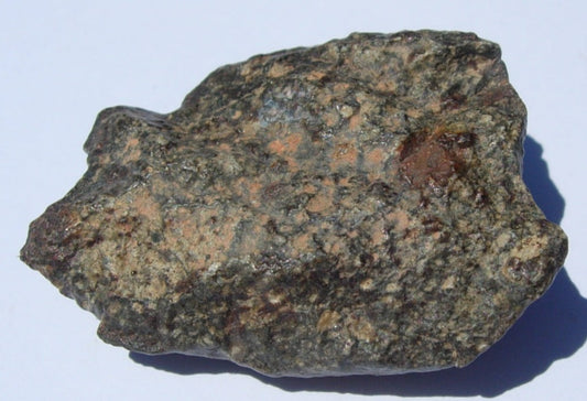 NWA 869 Ordinary Chondrite L3-6 Meteorite 23.2g