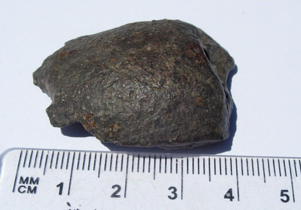 NWA 869 Ordinary Chondrite L3-6 Meteorite 23.2g